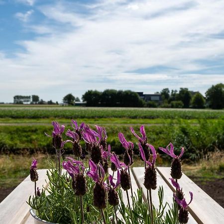 Appartement De Dageraad In Monumentale Boerderij Kimswerd ภายนอก รูปภาพ