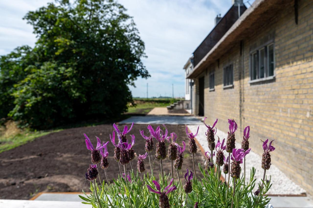 Appartement De Dageraad In Monumentale Boerderij Kimswerd ภายนอก รูปภาพ