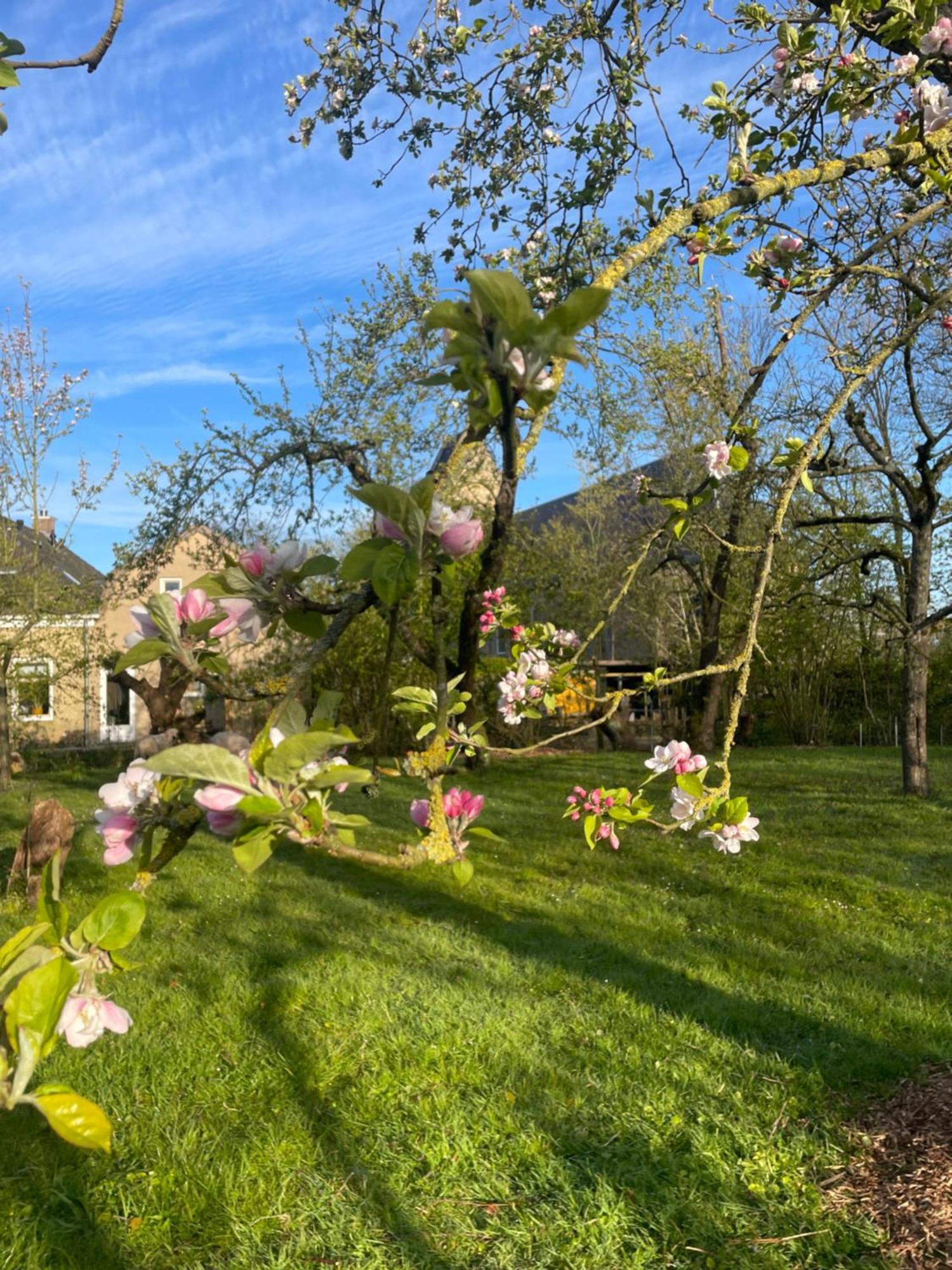 Appartement De Dageraad In Monumentale Boerderij Kimswerd ภายนอก รูปภาพ